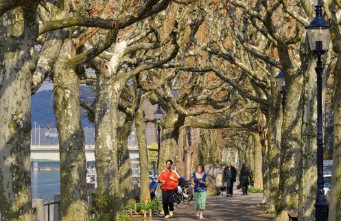 Amanti del jogging sulla passeggiata lungo il Reno a Basilea.