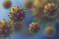 Bild mit Link zu den Informationen zum Coronavirus