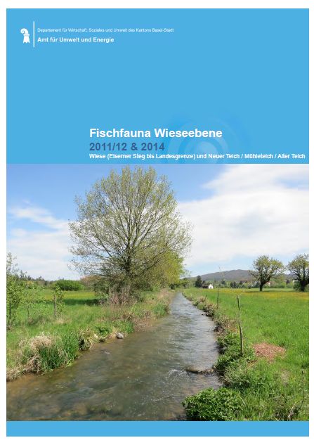 Bild Bericht Fischfauna Wieseebene 2014
